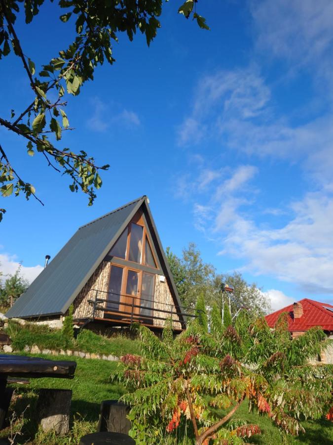 Holiday home Razele Trascaului *