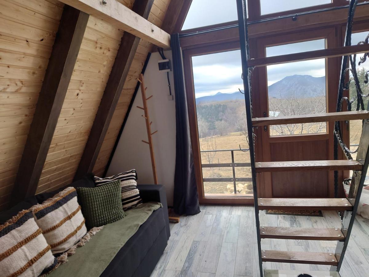 Razele Trascaului Holiday home