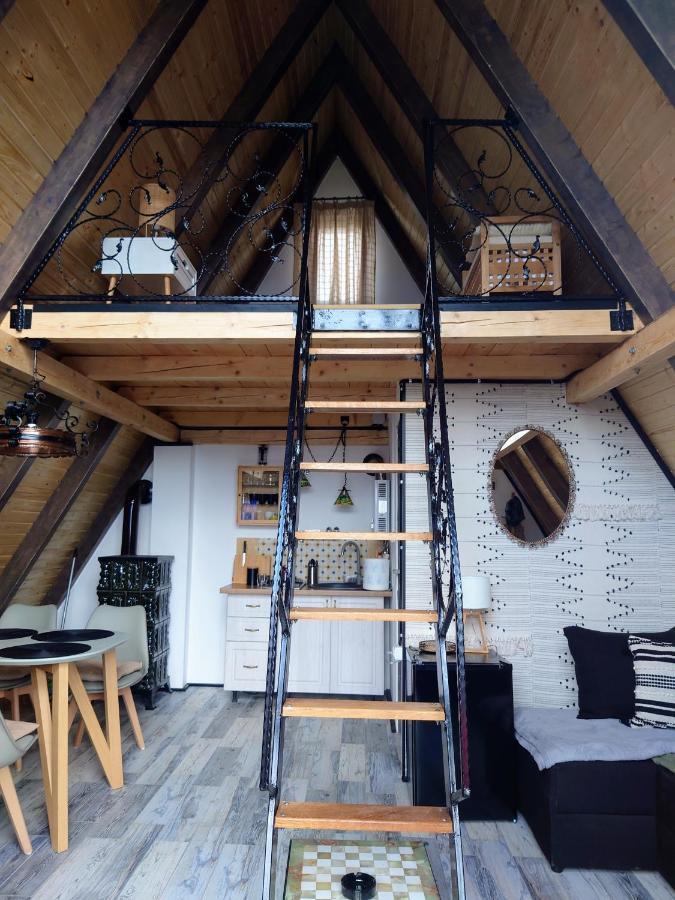 Holiday home Razele Trascaului *